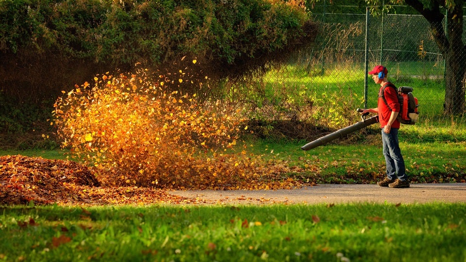 Best Commercial Leaf Blowers