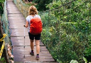 The Best Backpacks for Hiking, Travel and School