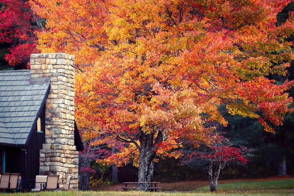 Fall colors at Elkwallow Wayside. Shenandoah National Park