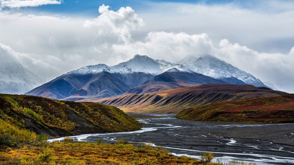 The braided channels of the Toklat river meanders through colorful Autumn foliage in Denali National Park